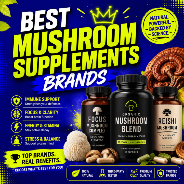 Assorted medicinal mushrooms including lion's mane, reishi, and chaga on a wooden table