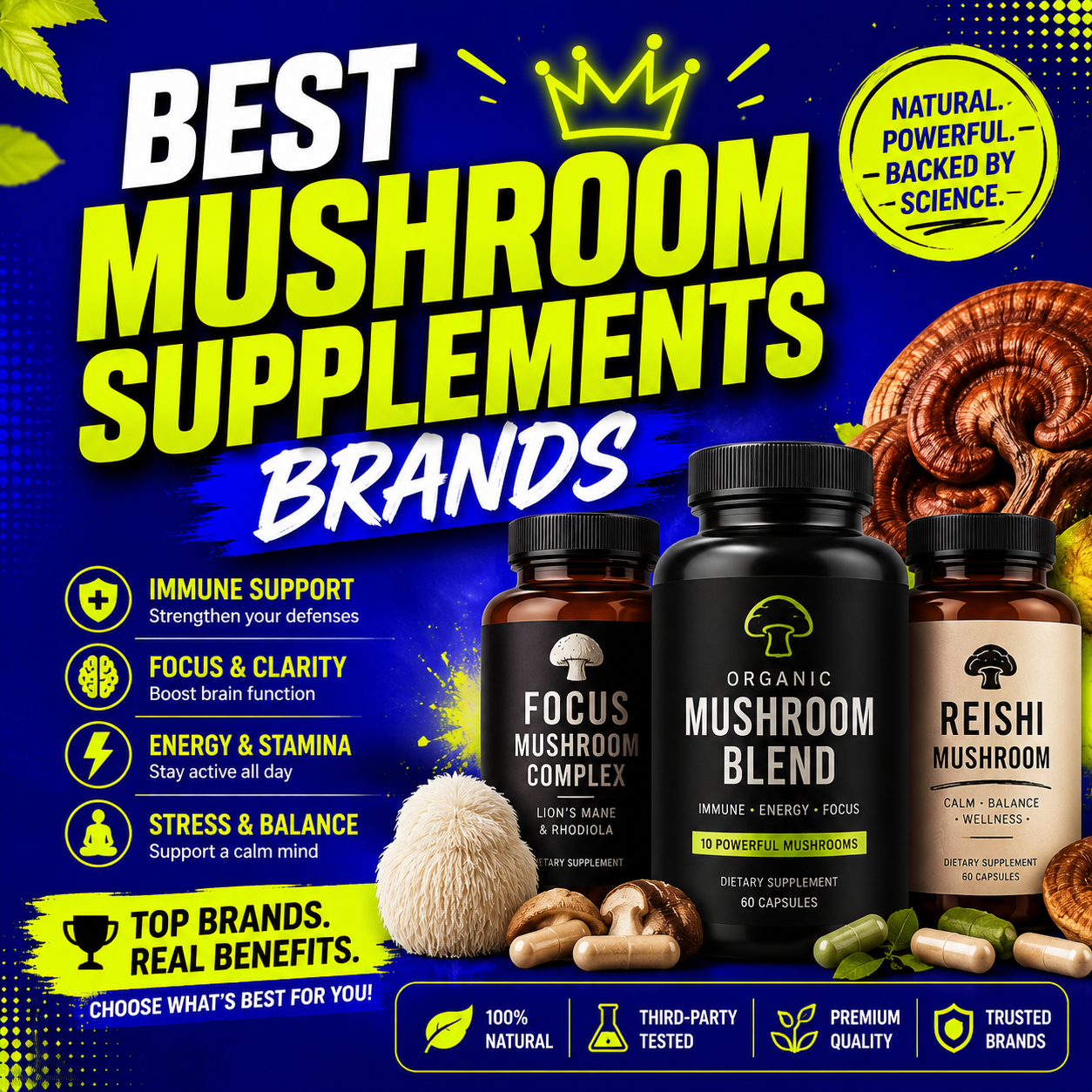 Assorted medicinal mushrooms including lion's mane, reishi, and chaga on a wooden table