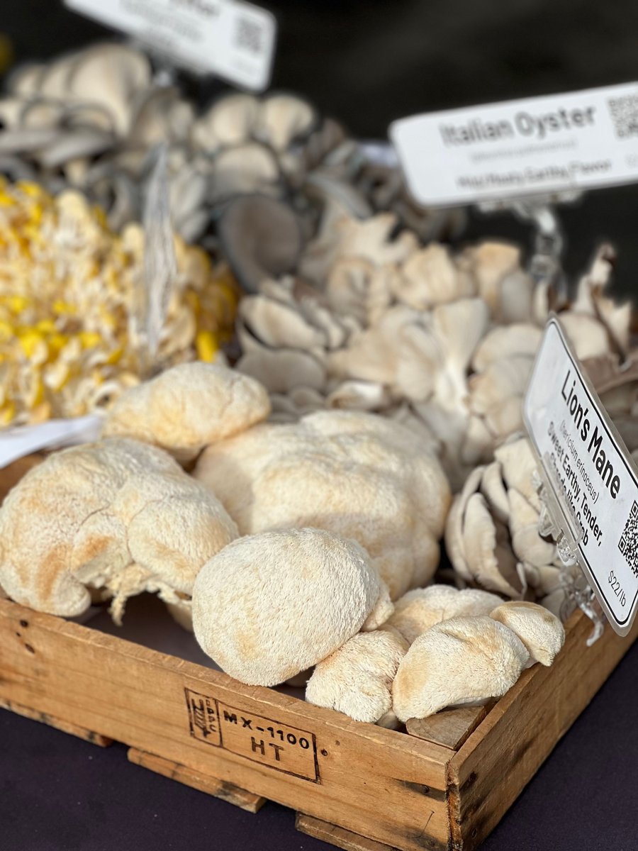 Lion's mane and oyster mushrooms in a wooden crate at a market stall